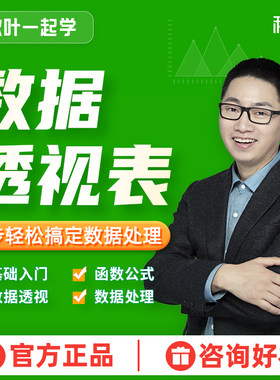 Excel进阶教程Excel数据透视表视频网课
