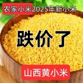 包邮 山西小米粥五谷杂粮 月子米 农家小米5斤山西特产黄小米新米