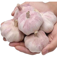 【干蒜】蒜2025新干蒜农家干大蒜头大蒜干蒜食用调味大蒜0.5-5斤