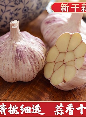 【营田半亩】干蒜紫白皮大蒜头干蒜蒜味十足蒜头调味0.4-5斤