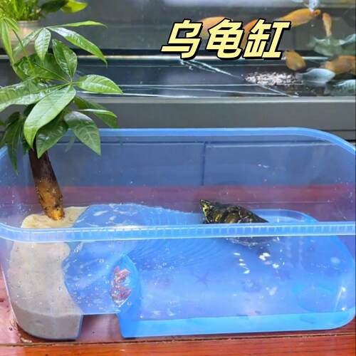 乌龟缸家用养乌龟专用缸大号爬梯水陆两栖生态缸干湿分离造景龟盆
