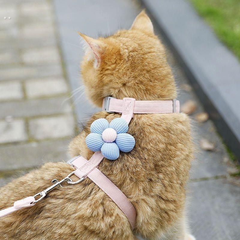 猫咪牵引绳防挣脱遛猫牵引绳猫绳子猫牵引外出可调节专用猫绳背带
