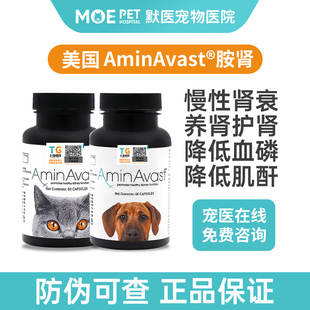 肾衰停猫狗急慢性肾衰降磷护肾透肾损伤安心停 美国AminAvast胺肾