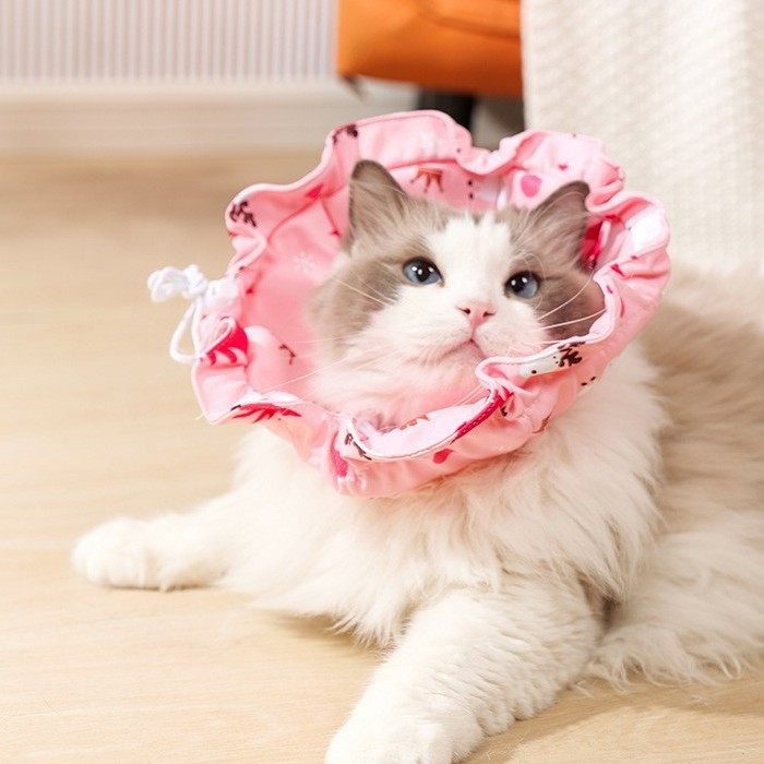 猫咪宠物绝育脖套脖圈可变形防添抓项圈防水耻辱软圈猫伊丽莎白圈,宠物/宠物食品及用品,宠物伊丽莎白圈,淘宝优惠券,粉丝福利购,淘宝优惠卷