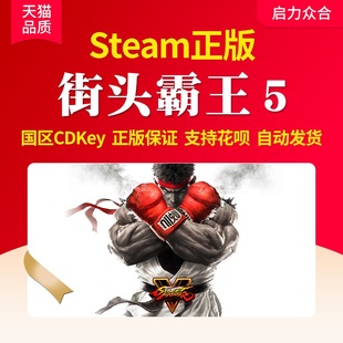 街头霸王5 单机游戏cdk 全球cdkey 升级包 国区激活码 街霸5 季 Fighter Street 全DLC Steam正版 票 冠军版