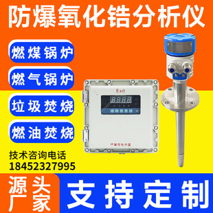 防爆氧化锆分析仪 氧化锆氧量分析仪 锅炉氧量检测 烘箱烟道氧量6