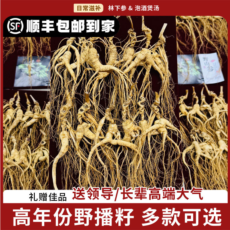 人参长白山野山参25年林下参籽货足龄干参整枝东北老山参泡酒礼盒