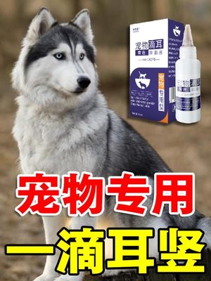 狗立耳神器黑狼犬雪纳瑞杜宾犬柯基德牧幼犬狗狗立耳贴竖耳辅助器