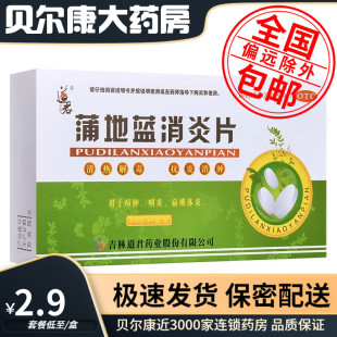 盒 0.25g 包邮 蒲地蓝消炎片 24片 道君 低至2.9元