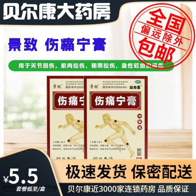 【景致】伤痛宁膏10贴/盒