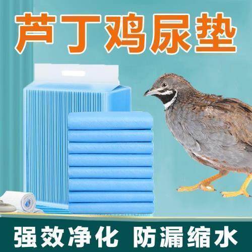 芦丁鸡1-10日龄幼鸡保温箱育雏隔尿垫强力吸水易打理大尺寸尿垫,宠物/宠物食品及用品,鸟禽垫料,淘宝优惠券,粉丝福利购,淘宝优惠卷