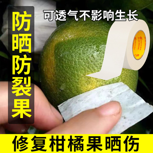 柑橘防晒贴纸防太阳果沃柑桔子