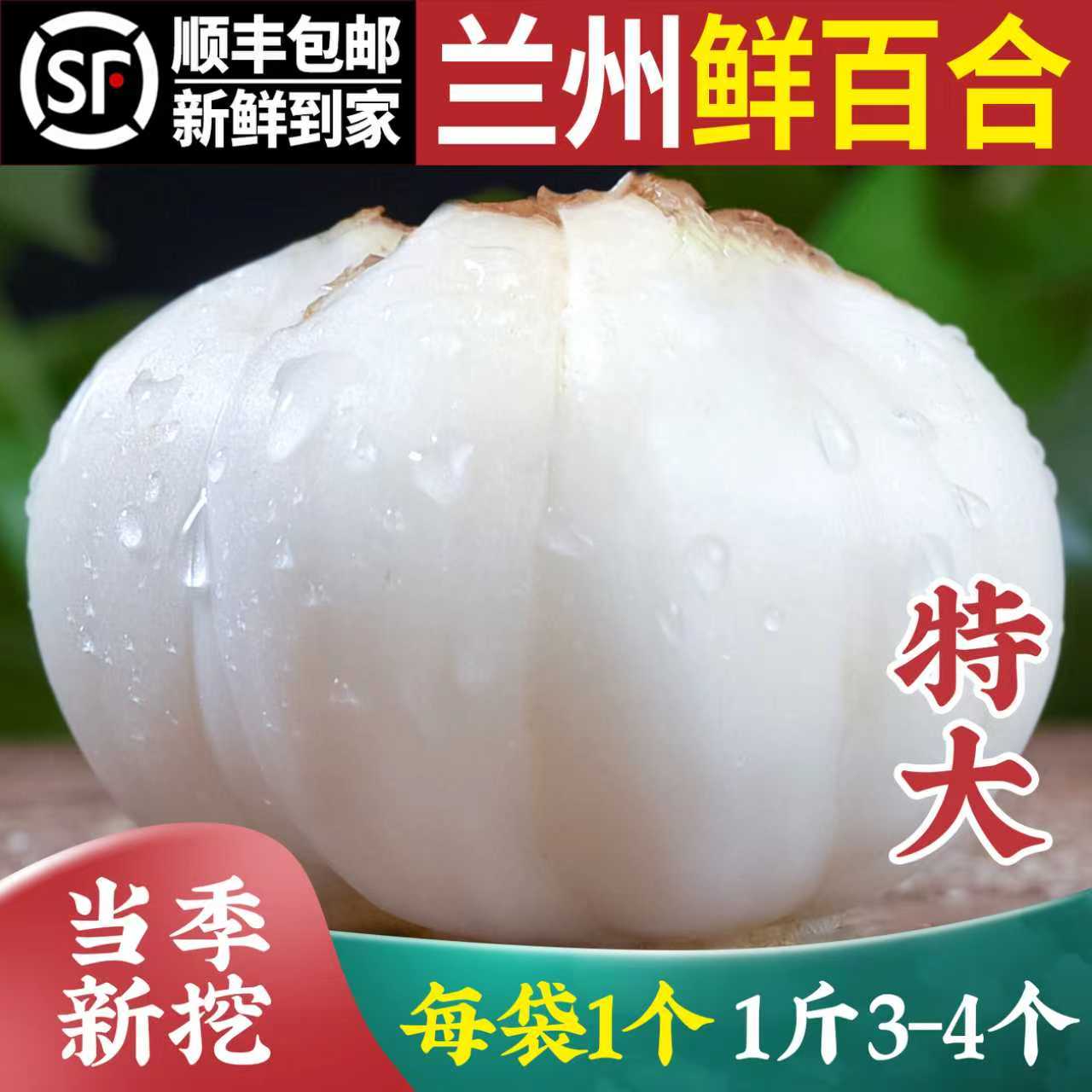 10年生甘肃兰州新挖大个头鲜百合农家食用无硫甜百合500g真空包装 - 实物图