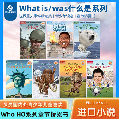 Whatis/was什么是系列