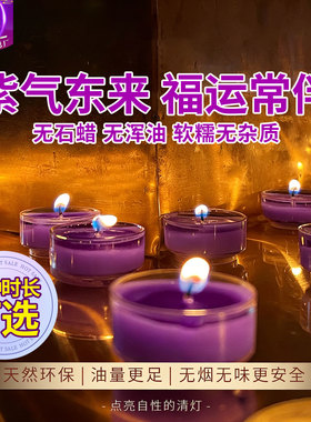 九紫离火蜡烛紫色招财进宝吉祥如意酥油灯7天供佛蜡烛平安