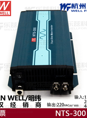 明纬NTS-300-212UN248正弦波逆变器12V24V48V转230V US/AU/UK替TS