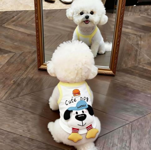 狗狗衣服小狗宠物比熊小型犬薄款夏季背心猫咪衣服2026新款透气