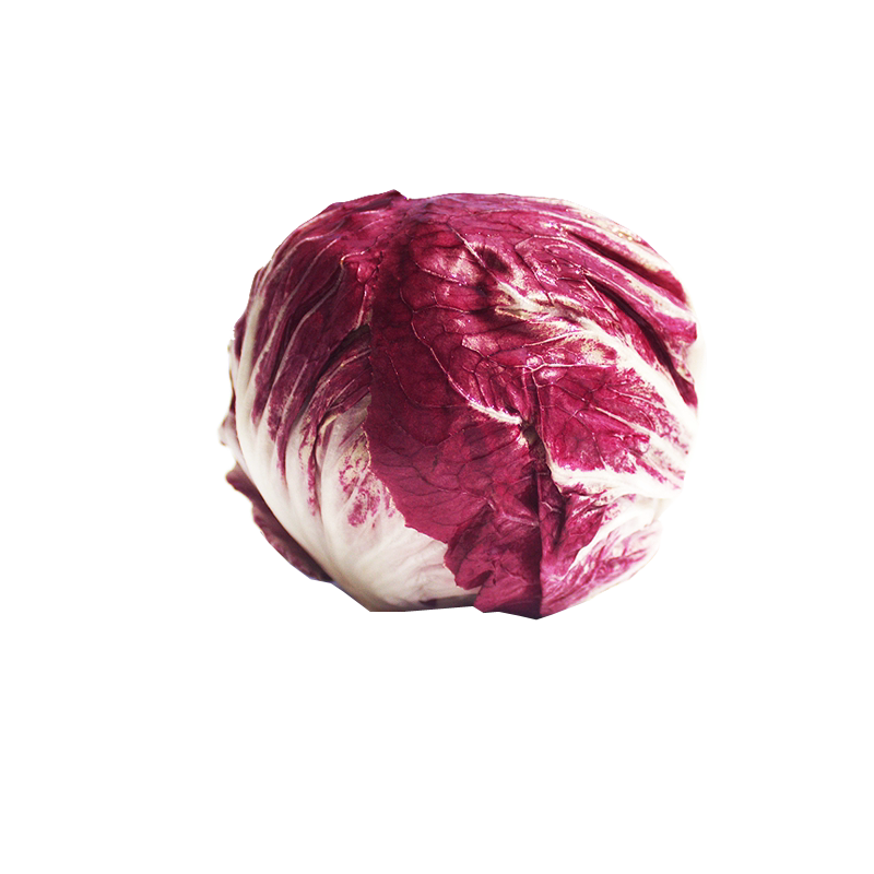 新鲜红菊苣500g 落地红球生叶菜类