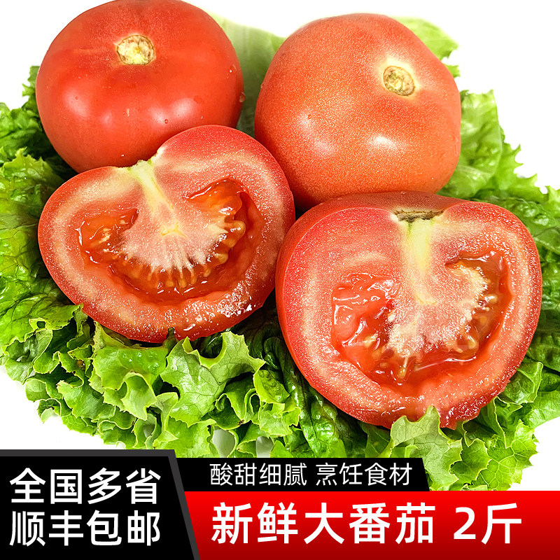 沙瓤大番茄2斤 新鲜蔬菜水果西红柿农家自然熟现摘洋柿子顺丰包邮