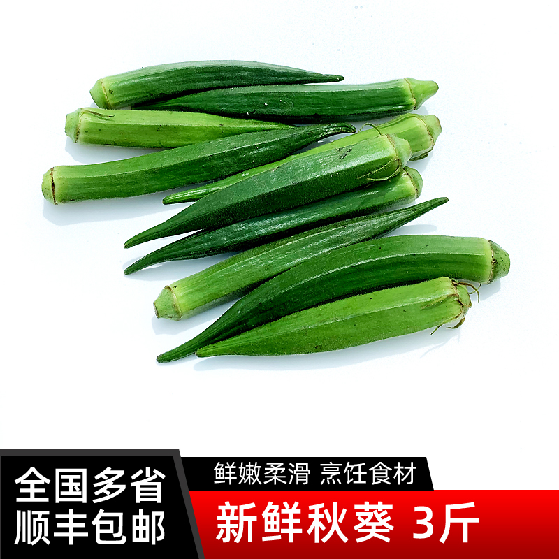 新鲜秋葵3斤 水果秋葵黄秋葵六角羊角豆沙拉食材蔬菜 顺丰包邮
