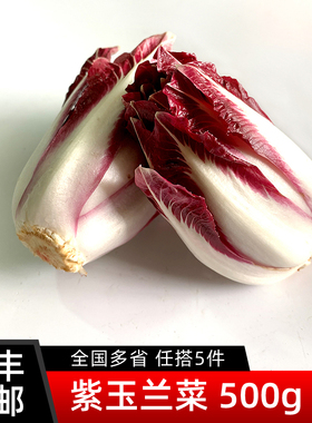 新鲜紫玉兰菜500g芽球菊苣chicory比利时沙拉蔬菜西餐食材5件包邮