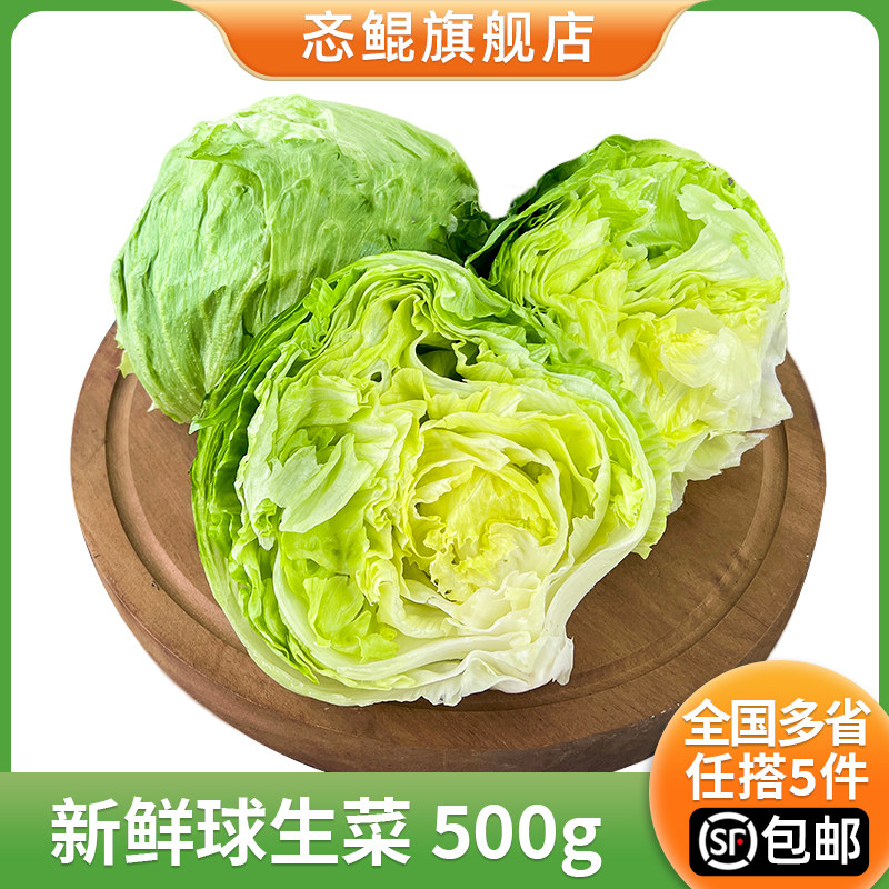 球生菜西餐汉堡火锅用沙拉蔬菜