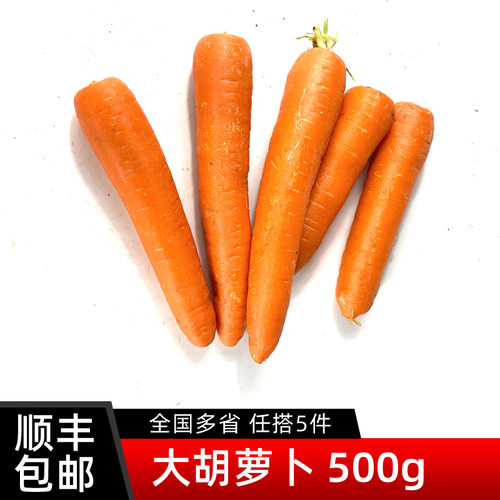 新鲜大胡萝卜500g 时令蔬菜红萝卜生吃甜脆炒菜配料食材 5件包邮