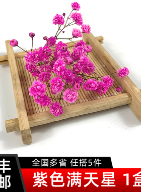 紫色满天星1盒 酒店摆盘花草西餐日料冷菜装饰任搭5件包邮