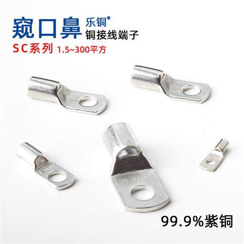 窥口鼻SC6/10/16/25/35/57890平方短铜鼻子 紫铜接线耳端子压线鼻,电子/电工,接线端子,淘宝优惠券,粉丝福利购,淘宝优惠卷
