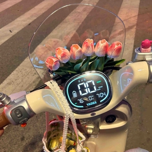 电动车装饰小配件郁金香花束摆件ins风仪表盘挡风板雅迪爱玛通用