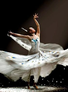 新款开场舞演出服傣族舞蹈服装女雀之灵表演白色孔雀舞大摆裙成人