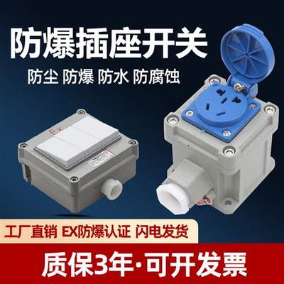 防爆墙壁开关防爆插座五孔220V10A明装86型单开工业照明开关插座