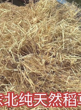 新稻草天然宠物鸡窝草干稻草牛羊猪饲料狗鸭窝草道具谷草秸秆