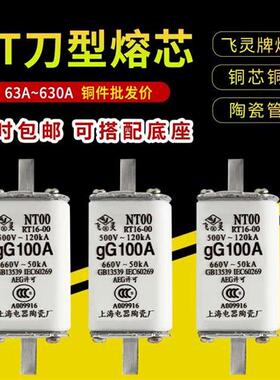 熔断器熔芯RT16-00保险丝底座NT00 63A100A125A160A250A400A630A