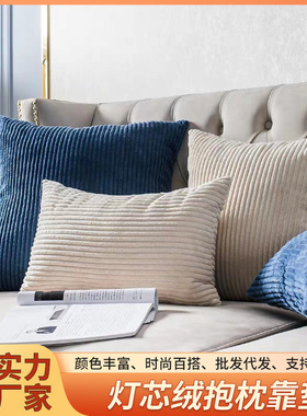 Pillow cushion sofa cushion office waist pillow cover core