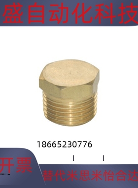 XYE26-01/XYE26-02/XYE26-03/XYE26-04全铜接头 管塞型 外螺纹