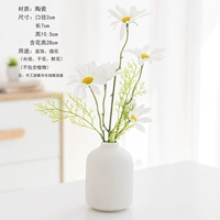 Маленький пудинг [белый]+белые летучие мыши