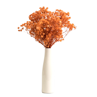 北欧ins满天星永生花干花束带花瓶桌面摆件家居客厅装饰插花摆设