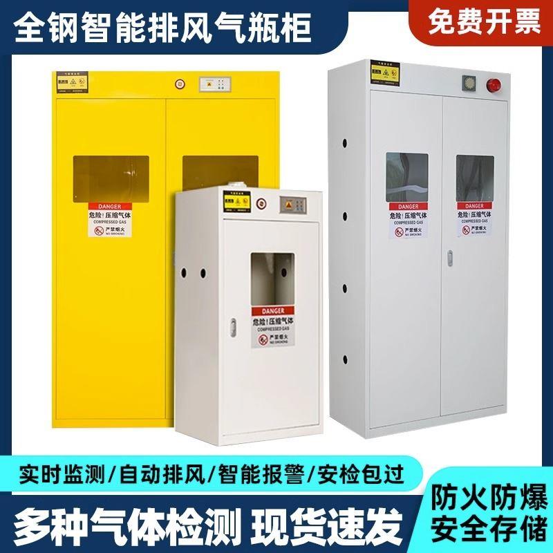 全钢防爆气瓶柜安全柜实验室双瓶煤气罐乙炔氮气氢气体钢瓶储存柜