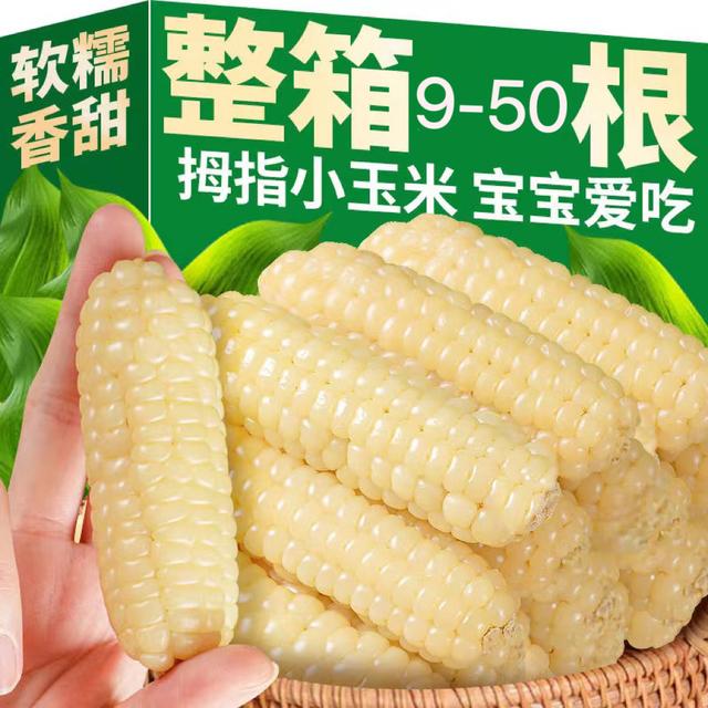 版纳拇指小玉米真空装低脂手指玉米锁鲜宝宝餐食早餐代餐宝贝玉米
