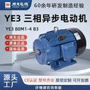 闽东电机高效率节能三相异步电动机纯铜YE3系列厂家直供