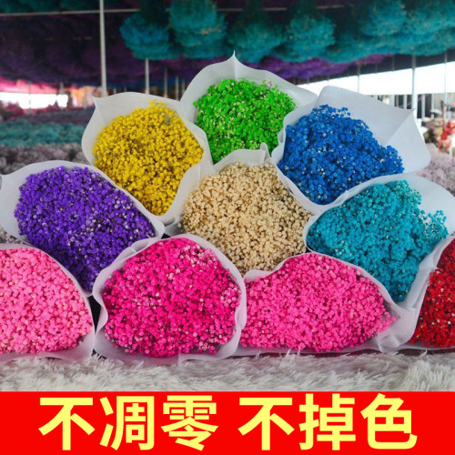满天星干燥花花束大束客厅摆设装饰摆饰永生花diy材料鲜花桌面摆
