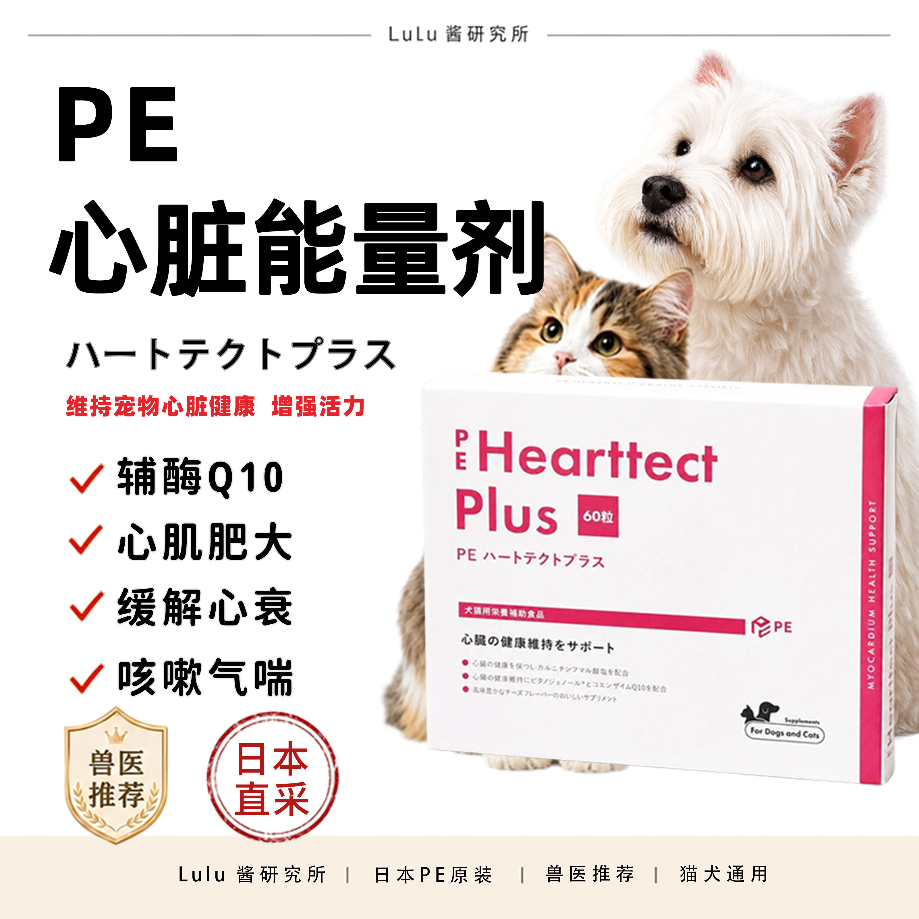 犬猫狗心肌肥大咳嗽气喘维持心脏图片