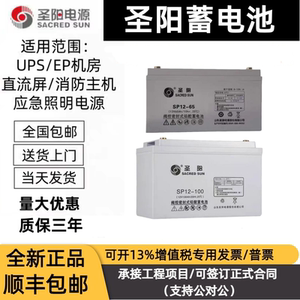 圣阳SP12-100阀控密封式铅酸免维护蓄电池SSP7 18 38 65 12V200AH