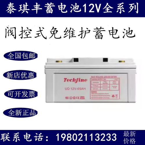 Techfine泰琪丰蓄电池UD65-12 12V65AH安防主机电梯消防UPS电源