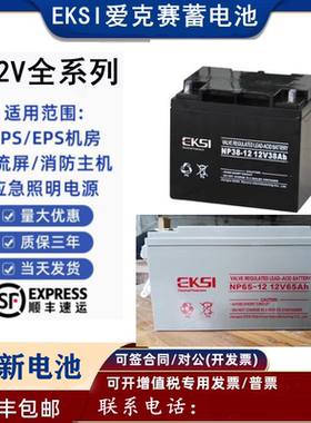 EKSI爱克赛蓄电池NP/EK65-12V17AH24A38AH65A100A120AH直流屏UPS