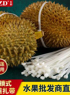 自锁尼龙扎带5x650扎榴莲扎带卡扣绑榴莲绳白色捆带黑色绑带