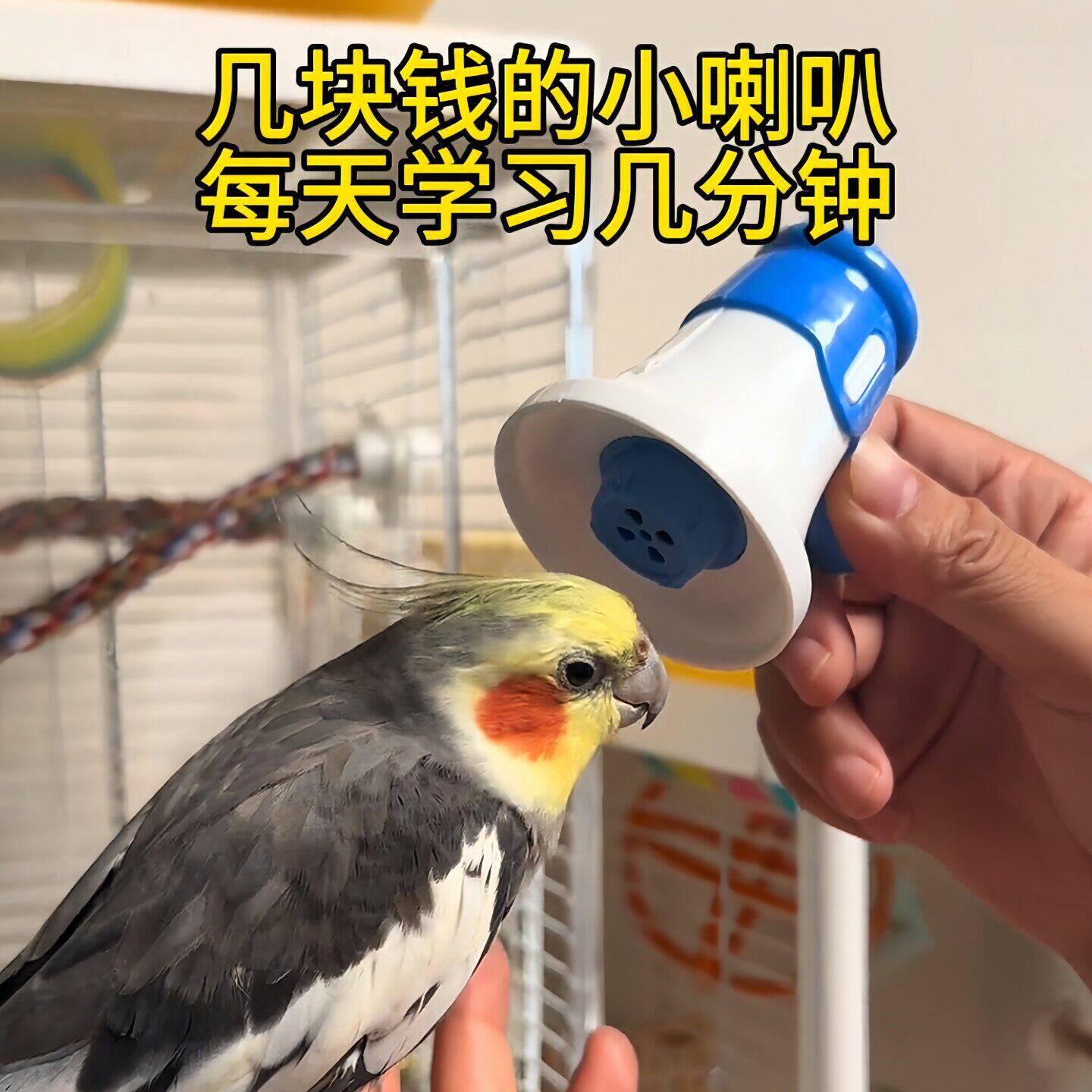 鹦鹉学说话神器小太阳玄凤虎皮牡丹复读录音机循环播放喇叭鸟玩具