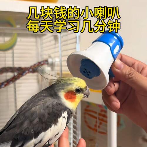 鹦鹉学说话神器小太阳玄凤虎皮牡丹复读录音机循环播放喇叭鸟玩具