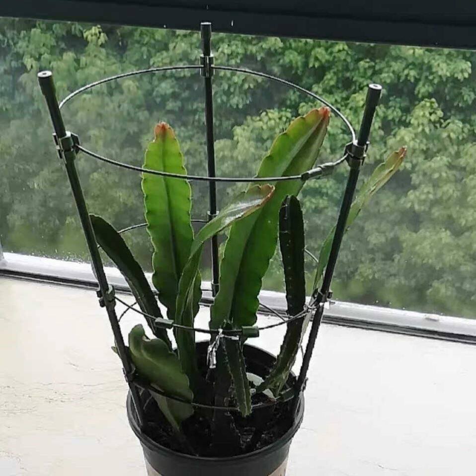 昙花专用支架多层可伸缩爬藤架子花月季花架室内花卉绿萝铁线莲